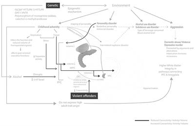 Alcohol, Aggression, and Violence: From Public Health to Neuroscience